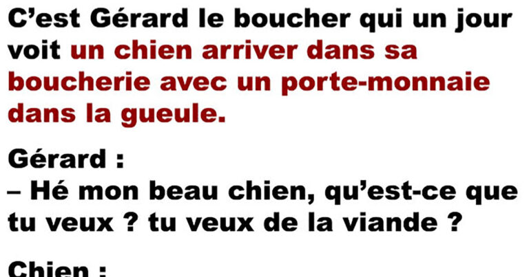 L’histoire du chien intelligent qui allait faire ses commissions tout seul