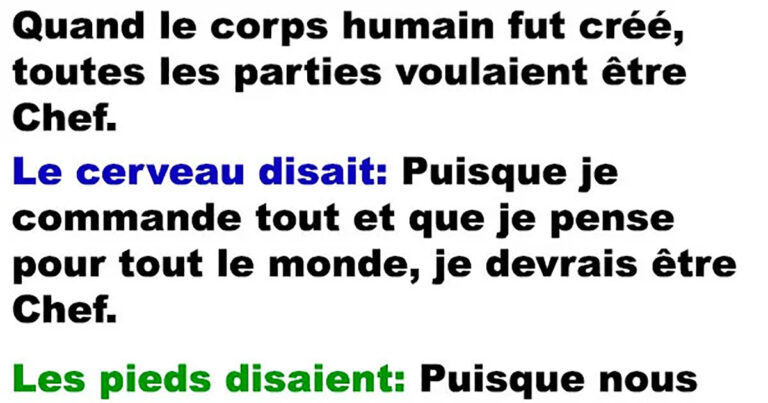 Le jour où le corps humain a été conçu pour la première fois